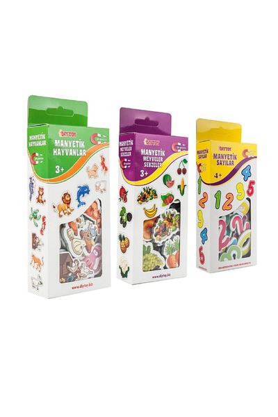 Diytoy Magnetic Educational Set