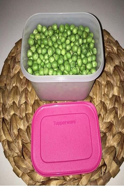 Tupperware Alaska 1.1 Lt..... Freezer Series