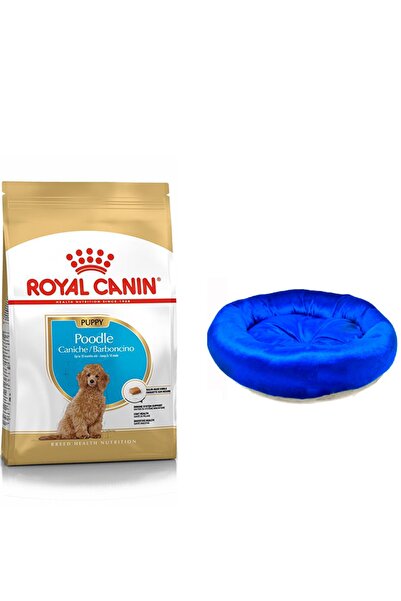 Royal Canin Poodle Puppy Köpek Maması 3 Kg + Köpek Simit Yatağı (original)