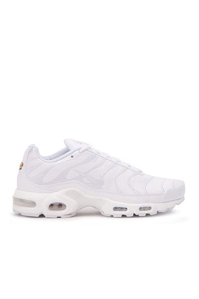 Nike Nike Air Max Plus Herrenschuhe Aj2029-100