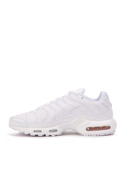 Nike Nike Air Max Plus Herrenschuhe Aj2029-100
