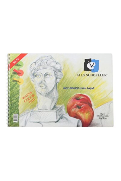 Alex Resim Defteri Spiral Pp Kapak 25x35 25 Yaprak