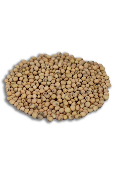 Karahasanoğlu Tarım Yerli Soya Fasulyesi Tohumu 100 gr