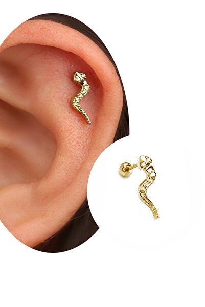 Salyangoz Company Cerrahi Çelik Yılan Model Gold Renk Helix,tragus Piercing