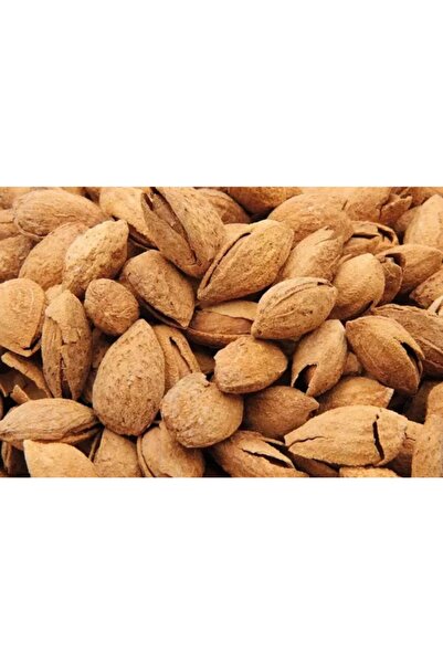 Genel Markalar Elle Kırılır Ince Kabuk Nonperial Badem Fidanı Açık Kök