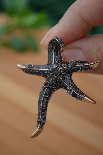 Stoneage Starfish Zircon Stone Women's Earrings Mineral Bronze
