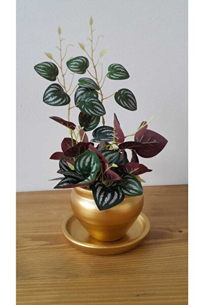 hayat ağacı Çömlek Saksı