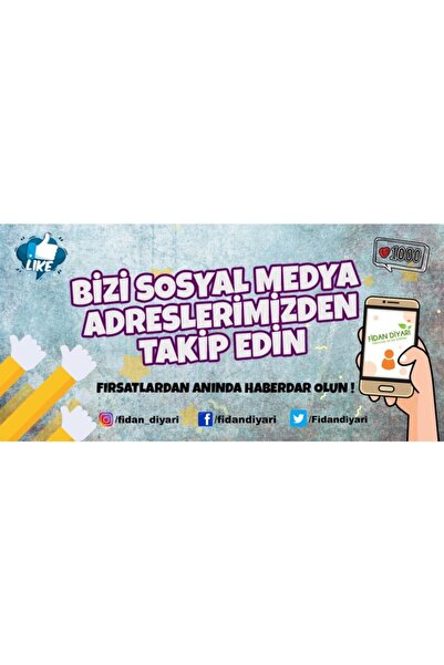 FidanDiyarı Tüplü Yarı Bodur Fortuna Erik Fidanı