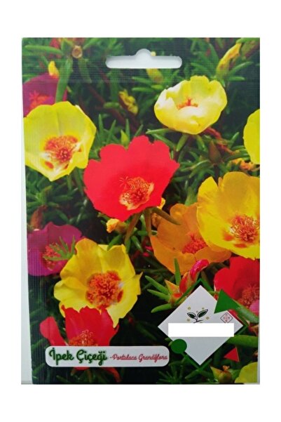 Ekodoğa Ipek Çiçeği Tohumu 1 Paket (100 Adet Tohum ) Doğal Çiçek Tohumu Organ...