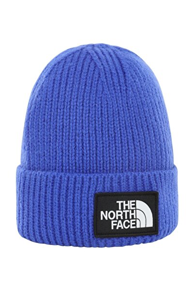 THE NORTH FACE North Face Purple Logo Box - Nf0A3Fjxcz61 Tnf Cuf Bne