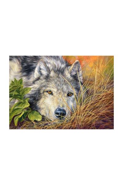 Castorland Puzzle Castorland 500 Parça Saf Bakışlar Puzzle