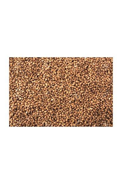 Ekodoğa Kara Buğday 250 Gram Karabuğday Greçka Buğday Tohumu Karabuğday Tohum...
