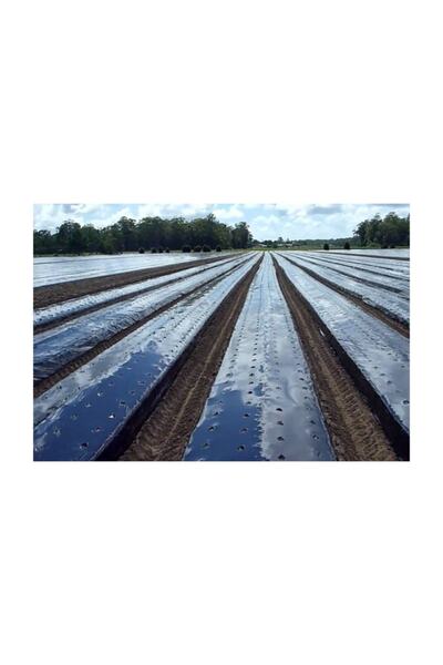 Ekodoğa Çilek Naylonu 5 Metre Eni 130 Cm 100 Mikron Malç Naylonu Çilek Malç Naylonu Malç Örtüsü Malçlama