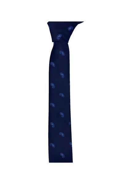 Brianze Slim Fit Drop Patterned Tie