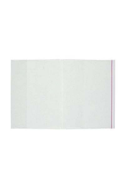 Bigpoint Container pentru notebook A4, pachet de 5, cutie transparentă de 25 de bucăți