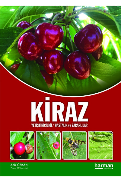 Kiraz Yetiştiriciliği Hastalık Ve Zararlılar