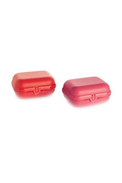 Tupperware Oyster Red Pink Set of 2 Lunch Box
