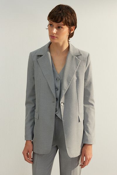 Trendyol Collection Gray Premium Regular Lined Woven Blazer Jacket TWOAW24BC00033