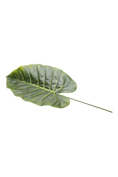 T.Concept Φύλλο Φοίνικα 60 cm Πράσινο A10269-10