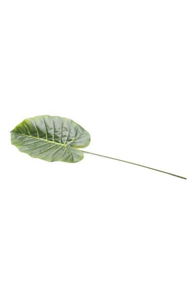 T.Concept Φύλλο Φοίνικα 60 cm Πράσινο A10269-10