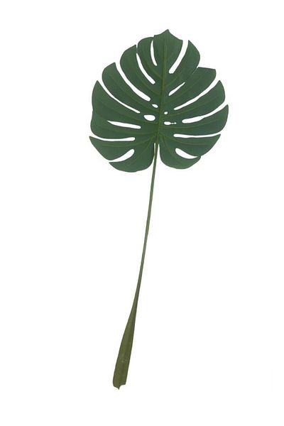 T.Concept Φύλλο Φοίνικα 82 cm Πράσινο A10269-08
