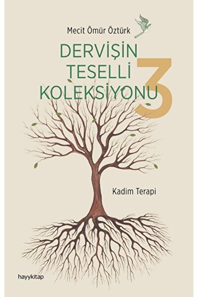 hayykitap Dervişin Teselli Koleksiyonu 3