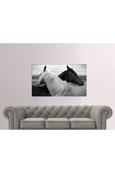 HD 70x100 Cm Siyah Beyaz At Temalı - Her Mekana Uygun Dekoratif Kanvas Tablo
