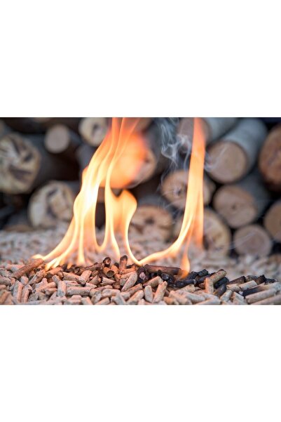 Genel Markalar Pelve Çam Pelet Yakıtı %100 Doğal %100 Çam (100 KG)