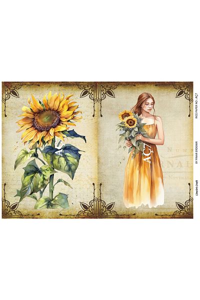 LİNEART LineArt Brass Decopage Paper LA-AÇ7
