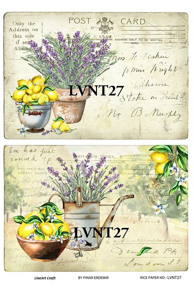 LİNEART LineArt Brass Decopage Paper LA-LVNT27