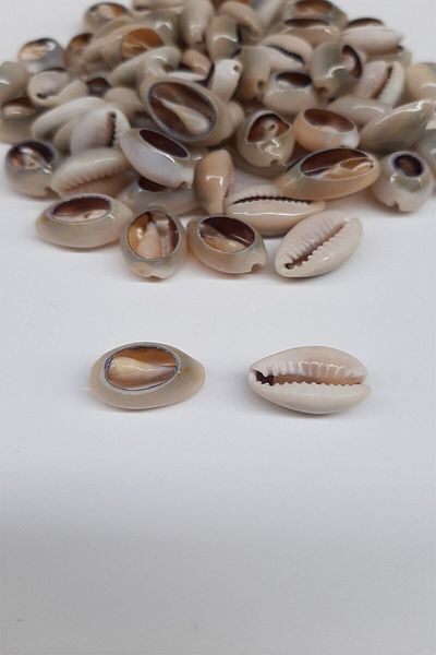 Hobigram Χάντρες Ποικιλία Coffee Mussel Seashell – Χάντρες, Κομψό Σχέδιο, Γυναικείο Αξεσουάρ – Χάντρες – Χάντρες