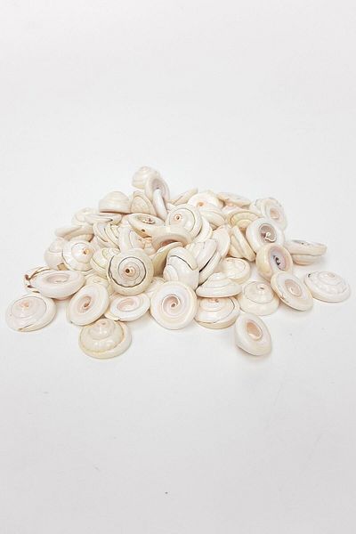 Hobigram Beads Assortment Cream Curved Seashell – Beads, Stylish Design, Women's Accessory – Beads – Beads