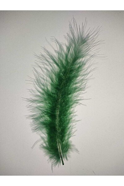 Hobigram Parti Malzemeleri Kuş Tüyü Yeşil 100'lü – Diğer Parti Malzemeleri, Ş...