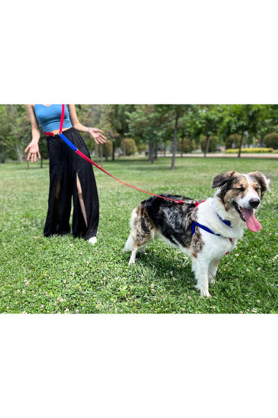 GoPawGo Charmlı Sirius Plus Dönüştürülebilir Kayış