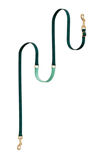 GoPawGo Charmed Shelby Plus Convertible Strap
