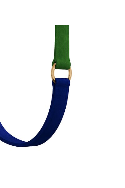 GoPawGo Charm Jewel Plus Convertible Strap