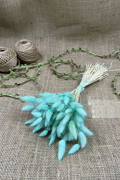 Hobigram Τεχνητό λουλούδι Water Green Cotton Grass Lagurus Φυσικό Αποξηραμένο Λουλούδι – Τεχνητό & Ξηρό Λουλούδι, Κομψό Σχέδιο –