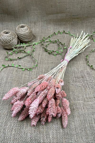 Hobigram Τεχνητό λουλούδι σε σκόνη Bird's Foot Palaris Αποξηραμένο λουλούδι – Τεχνητό & Ξηρό Λουλούδι, Κομψό Σχέδιο – Τεχνητό Λουλούδι