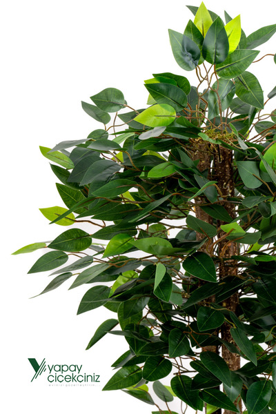 YAPAY ÇİÇEKÇİNİZ Yapay Benjamin Ağacı 110 Cm