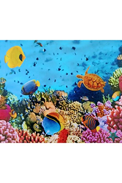 MENTAŞ 5D Diamond Picture - 50*40CM Beaded Tapestry, Round Stone Detailed Mos...