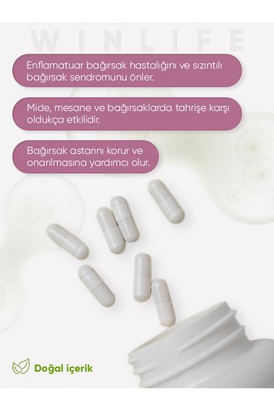 Winlife Probiotic Inulin Microorganism