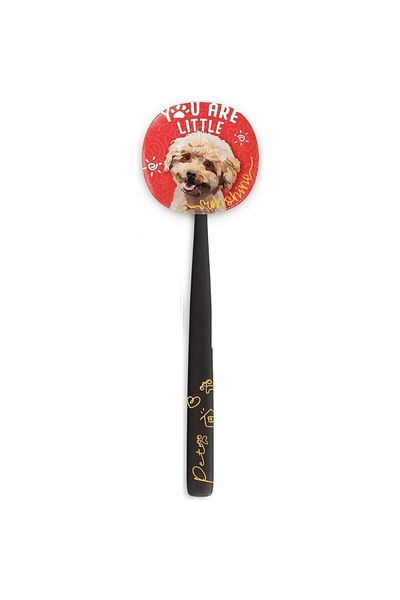 Flipper Pets Hygienic Storage Container And Adult Toothbrush Set-poodle Dog
