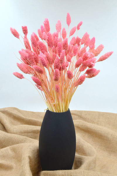Dekora Çiçek Kurutulmuş Kuş Otu (PALARİS ÇİÇEĞİ) Pembe 50 Dal