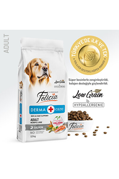 Felicia Kolajen Destekli Hipoalerjenik Somonlu Yetişkin Köpek Maması 15KG