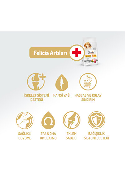 Felicia Kolajen Destekli Hipoalerjenik Kuzulu Yavru Köpek Maması 6KG