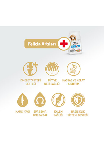 Felicia Kolajen Destekli Hipoalerjenik Somonlu Yetişkin Köpek Maması 15KG