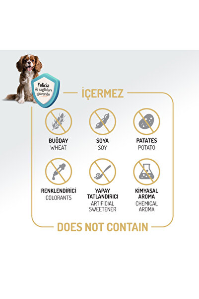 Felicia Kolajen Destekli Hipoalerjenik Somonlu Yetişkin Köpek Maması 15KG