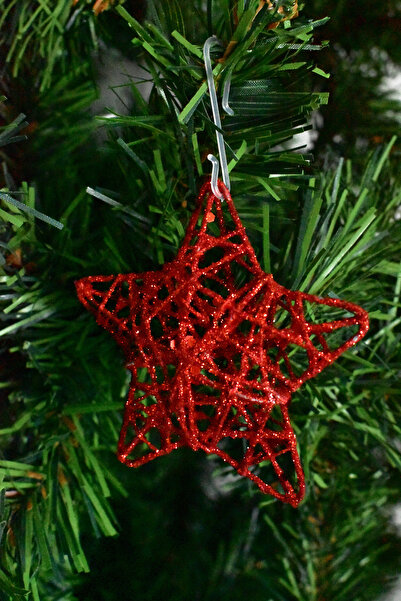 Waldern Premium collection 6-piece star christmas ornament set - red, silver & gold