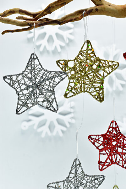Waldern Premium collection 6-piece star christmas ornament set - red, silver & gold