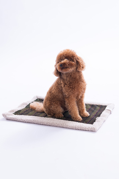 TRENDYOLMİLLA HOME Pet Plaid Patterned Plush Cat and Dog Bed 50X70Cm Tphaw26Kk00004